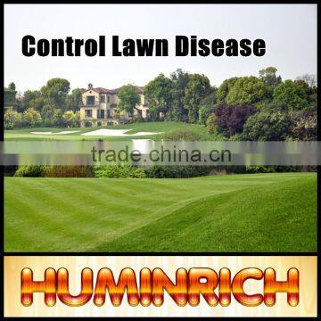 Huminrich Shenyang 2-4mm Granulated Humic Acid Fertilizer From Coal photo-2