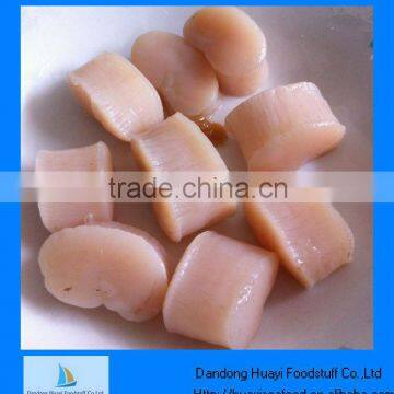 Frozen pinna(Atrina) Pectinate seafood