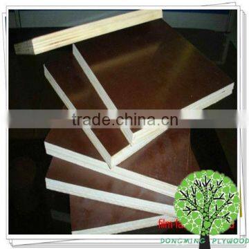 18mm Waterproof Plywood Sheet photo-4