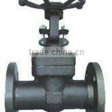 Forged steel gate valve