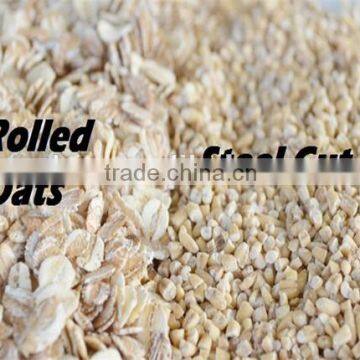 Jumbo oats for oats bread