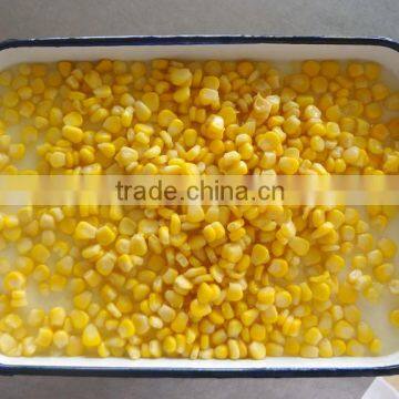 884# can size 340g Fresh Canned sweet corn