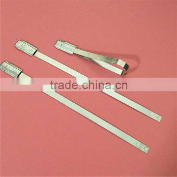 Hot Selling Attractive Style Metallic Strap Seals 2016 photo-3