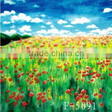 6 x 6 Meters Custom Made In China Digital Children Photo Studio Backdrops photo-4