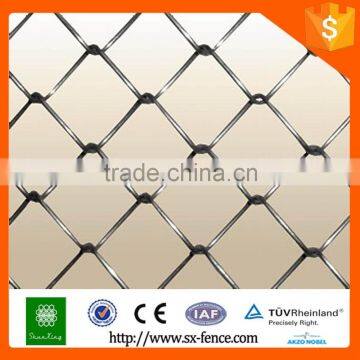 Chain Link woven wire mesh (ISO9001&CE)