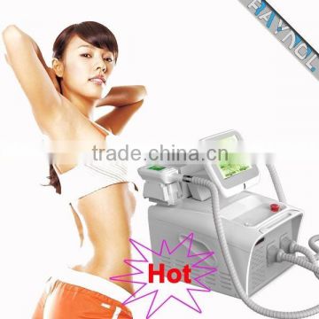 Body Slimming 2016 Raynol Portable Cryolipolysis 500W 2 Handles Vacuum Fat Loss Machine