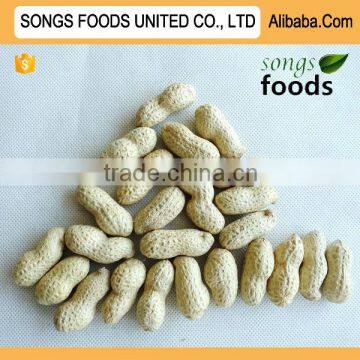 Long Shape Traditional Peanut Type