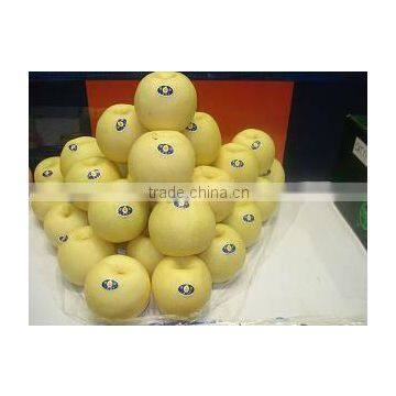 taste best fresh golded pear(white colour)