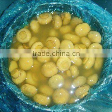 brined mushroom in drum