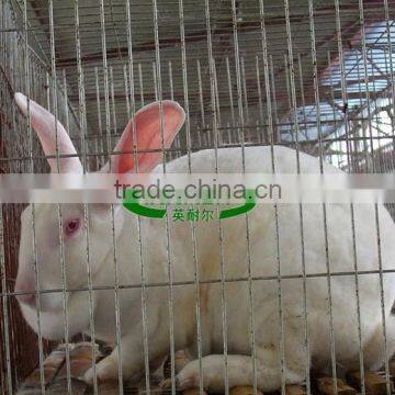 Factory Direct Sale on 2m 3 Tier Cage Used for Rabbit