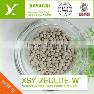 Nature Clinoptilolite Zeolite Granular for Oil Refine photo-4