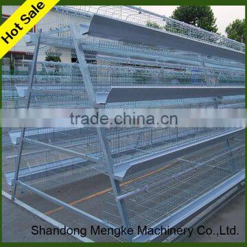 Automatic Cold Galvanized Poultry Layer Chicken Cage for Farm Use