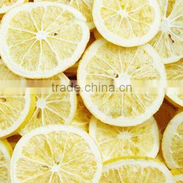 Vacuum Freeze Dryer for Fruit and Vegetable Manufacturer JK-FD-1N photo-6