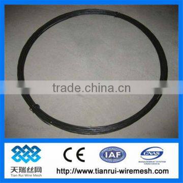 black annealed wire /construction material