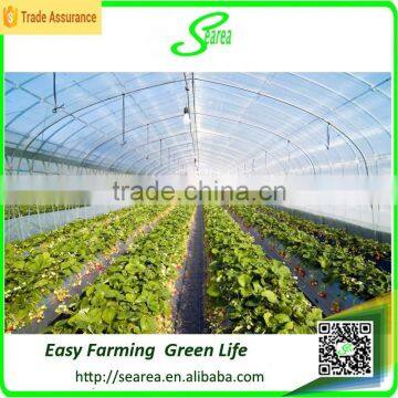 Steel Frame Tunnel Greenhouse With Door photo-4