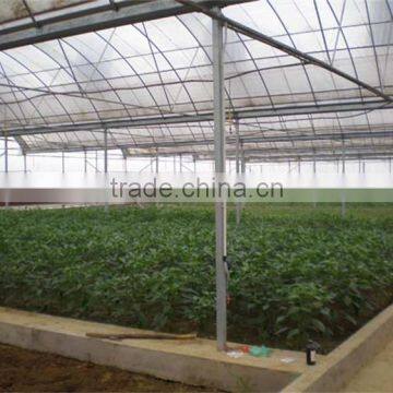 Galvanized Tube Structure Multi-Span Greenhouse Used for Growing Plantings photo-4