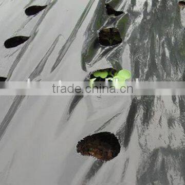 Agriculture Usage Perfoared Mulch Film With Holes photo-4