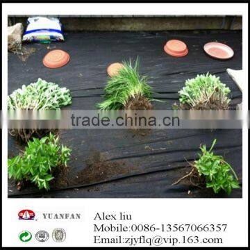 Anti UV Black Non-woven Membrane Used to Prevent the Weeds photo-4