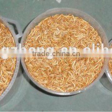 Freeze Dried Mealworms photo-3