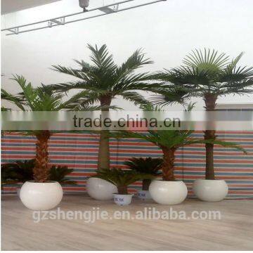 mini plastic palm trees bonsai tree ornamental artificial palm tree