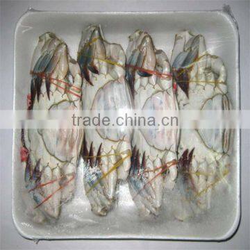 frozen best sea giant blue swimming crab