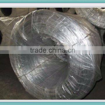 Galvanized Iron Wire Sale in Linyi China photo-6