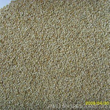 2017 New Crop Whitish Sesame Seeds