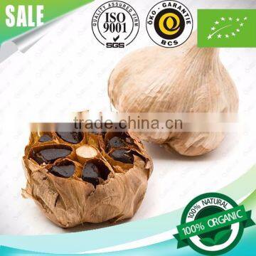 Fermentation Black Garlic Seeds , Black Garlic Seeds , Black Garlic photo-6