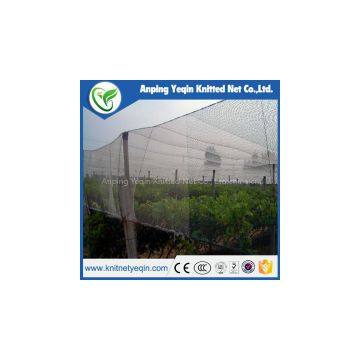 100grm raschel monofilament HDPE anti-hail net