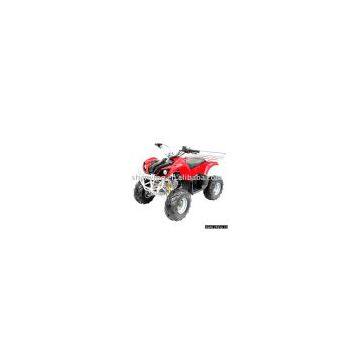 Popular ATV (50cc-110cc)