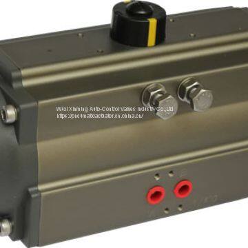 DA SR Rack and Pinion Pneumatic Rotary Actuator photo-3