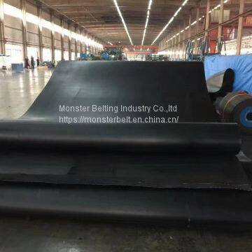 EP Conveyor Belt photo-2
