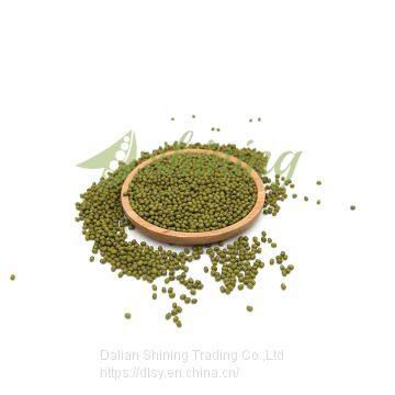 Various Green Mung Beans Specification photo-4