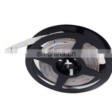 Dual Color White Adjustable 3527+5050 Double Color Led Strip Light photo-4