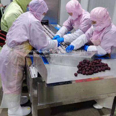 High Efficiency Automatic Fruit Pitting Machine Cherry Pitter Olive Pitter Machine for Fruit Processing Plants photo-4