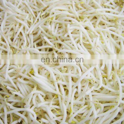 Sinocharm 2022 New Season Fresh Organic IQF Frozen Green Mung Bean Sprout