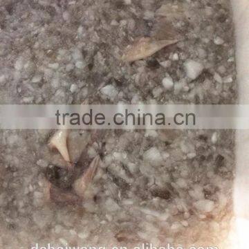 Landing Frozen Illex Squid Body With Size 400 - 600g
