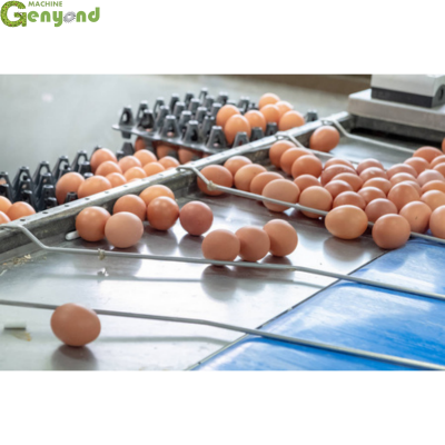 Hot Sale Automatic Egg Grading Sorting Machine/egg Grader/ Egg Sorter
