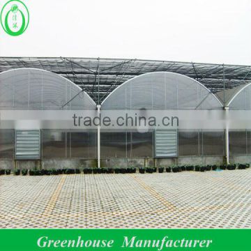 8mm Holllow Polycarbonate Greenhouse