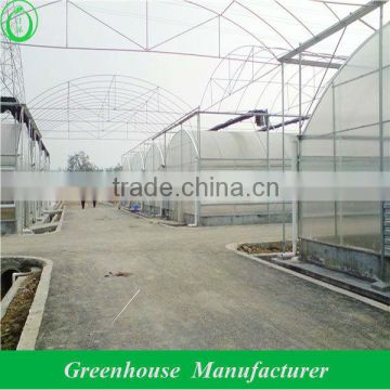 dome type 10mm polycarbonate greenhouse