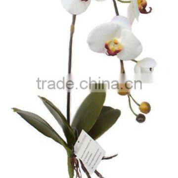 Silk Phalaenopsis Orchid, Artificial Phalaenopsis Orchid