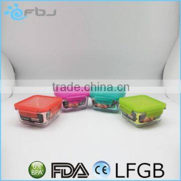 Color Borosilicate Glass Food Container Set