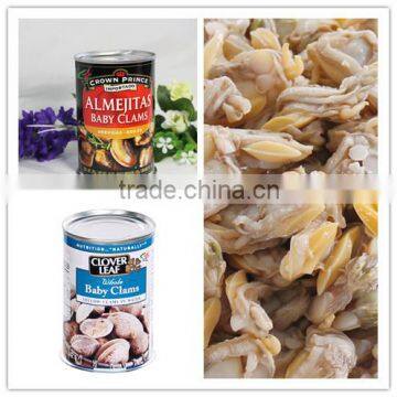Canned Baby Clam in Brine photo-4