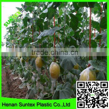 Heavy Duty Long-lasting Flexible Growing Vine Vegetables Support Net