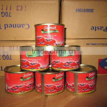 Supply 70g*50 & 70g*100 H/O Canned Tomato Paste