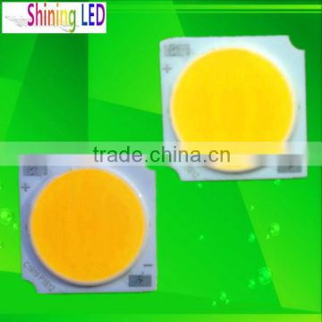 Hi Quality 1919 10W COB LED Chip