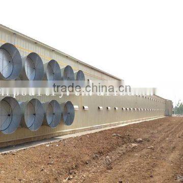 professional steel structure poultry equipment for chicken coop