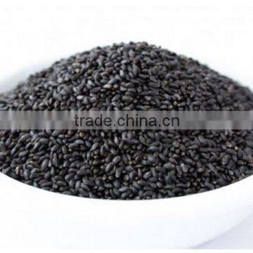 Sortex Machine Clean Basil Seed