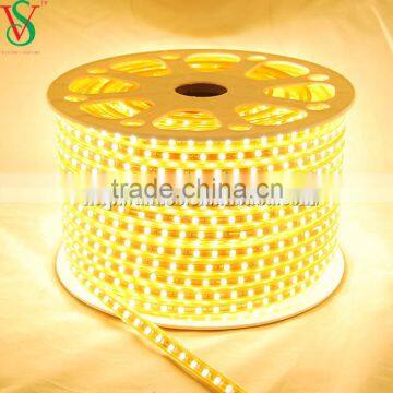 230V Factory Price Flexible Outdoor Christmas LED Strip Light photo-4