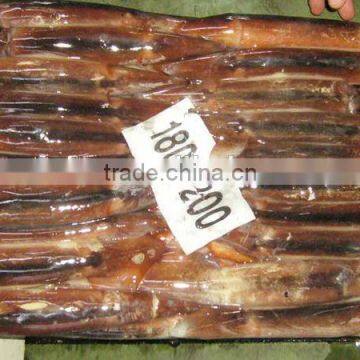 frozen illex argentinus squid whole round squid